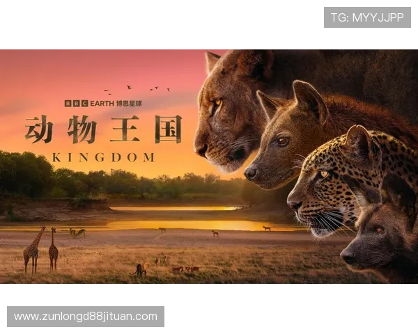 揭秘澳门尊龙游戏的魅力所在：如何在游戏中享受到极致的娱乐体验